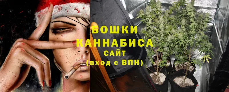 Бошки Шишки SATIVA & INDICA  продажа наркотиков  Кингисепп 